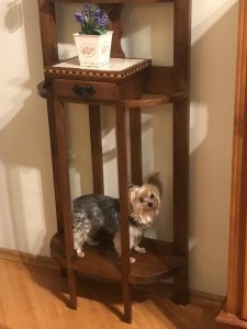 img-20220423-wa0035-1651001010